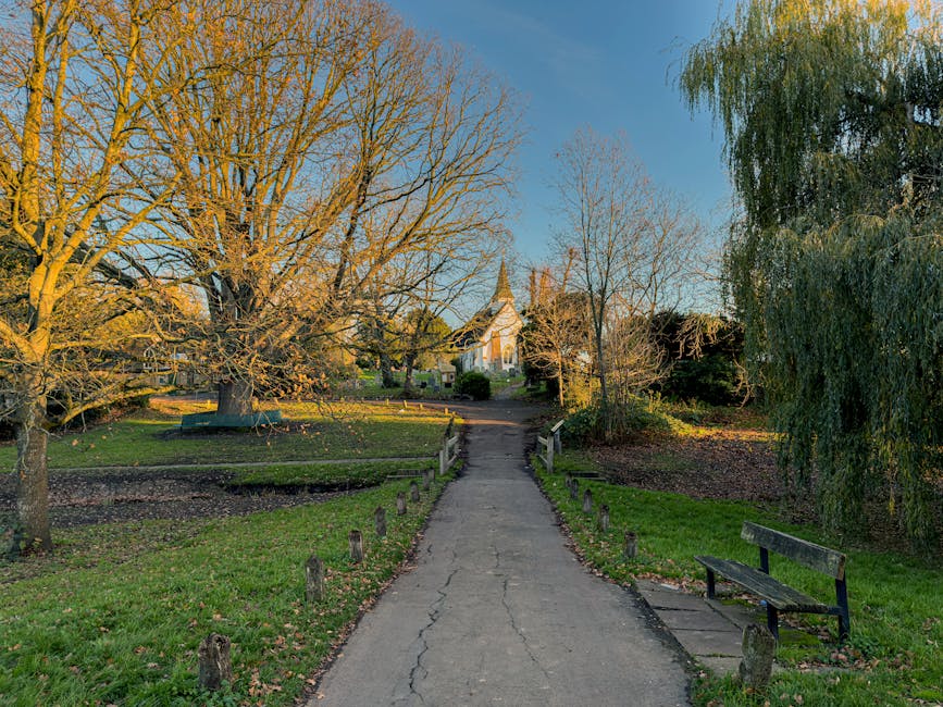 A paved pathway runs through a park area surrounded by grass and multiple trees, some of which are leafless while others have green foliage, indicating a transitional season. The pathway is narrow and shows signs of cracking and wear, with wooden bollards aligning its edges to guide pedestrian flow. On the right side, there is a weathered wooden bench with a dark finish, positioned on a small paved landing adjacent to the path. In the background, there is a church with a pointed roof and spire, partially obscured by trees. The sky above is clear and bright blue, suggesting a sunny day. The scene is well-lit with natural daylight casting shadows from the trees, creating a peaceful and natural environment typical of a community park or garden setting, often involved in outdoor civic activities such as cleanups and community gardening that may relate to local rubbish collection services provided by Waste Disposal Ealing.